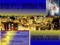 Devine Stylz Brokerage Firm