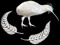 SL Kiwi Group