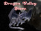 Dragon Valley Store