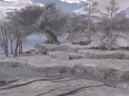 parcel image