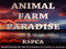 AFP RSPCA Advertising Group