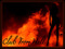 OUTCAST ASSASSINS CLUB FROM HELL