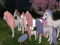 WARMTH & CHILL HORSES PARADISE WARMTH & CHILL HORSES PARADISE