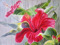 Caroni Bird Sanctuary&Guesthouse