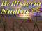 Bellisseria Nudists Bellisseria Nudists