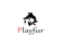 Playfur Mansion Playfur Mansion