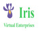Iris Virtual Enterprises Iris Virtual Enterprises