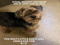 ➁ Diesel Dec 17, 2007- Aug 24, 2024 ➁ Diesel Dec 17, 2007- Aug 24, 2024
