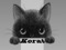 Korat-Team