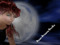 ~*Dawn Dreams Studio*~