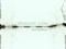 ::: Abstract Line Art Gallery:::