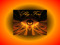 .: Sky Fire :. .: Sky Fire :.