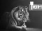  Tiger Games
