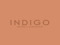 INDIGO Update Group INDIGO Update Group
