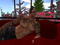 5. Day 1 in SL 5. Day 1 in SL