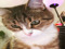 ♥ Nelli ♥