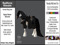 * Elite Equestrian * Store Policies