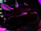 γ»β₯γ» π¬πππππ γ»β₯γ» π¬πππππ