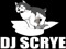 DJ Scrye's Groupies!