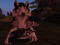 The Wolfs Pup