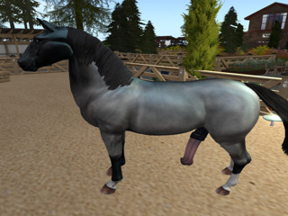 Second Life profile photo (full)