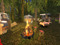 Santucci Campground Santucci Campground
