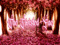 The Twisted Fae RFL Team & Events The Twisted Fae RFL Team & Events