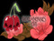 Blood Cherries Club