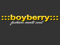 boyberry Clothing