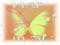 HSP in SL HSP in SL