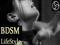 * BDSM lifestyle * * BDSM lifestyle *