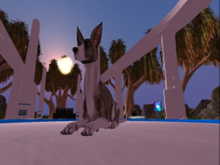 Second Life profile photo (full)