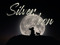 SILVER MOON KITTYCATS MARKET & DRAGOOS 