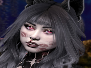 Second Life profile photo (full)