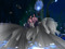 Two Moon Paradise