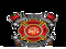 Second Life Fire Brigade