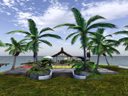 parcel image