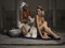 Black Cunts for white goddess