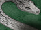 Mischief Managed Slytherins