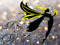 *Fairy`s World*