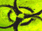 Outbreak OOC
