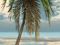 Serendipitous Sands
