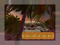 The Cove Group The Cove Group