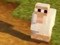Sheep's Sheep's
