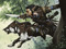 Lythari Elf Clan Lythari Elf Clan