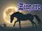 Zingaro