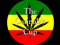 The Cannabis Cup VIP 
