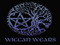 Wiccan Wears