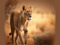 **I am the lioness....