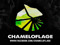 Chameloflage Mainstore - https://www.facebook.com/chameloflage